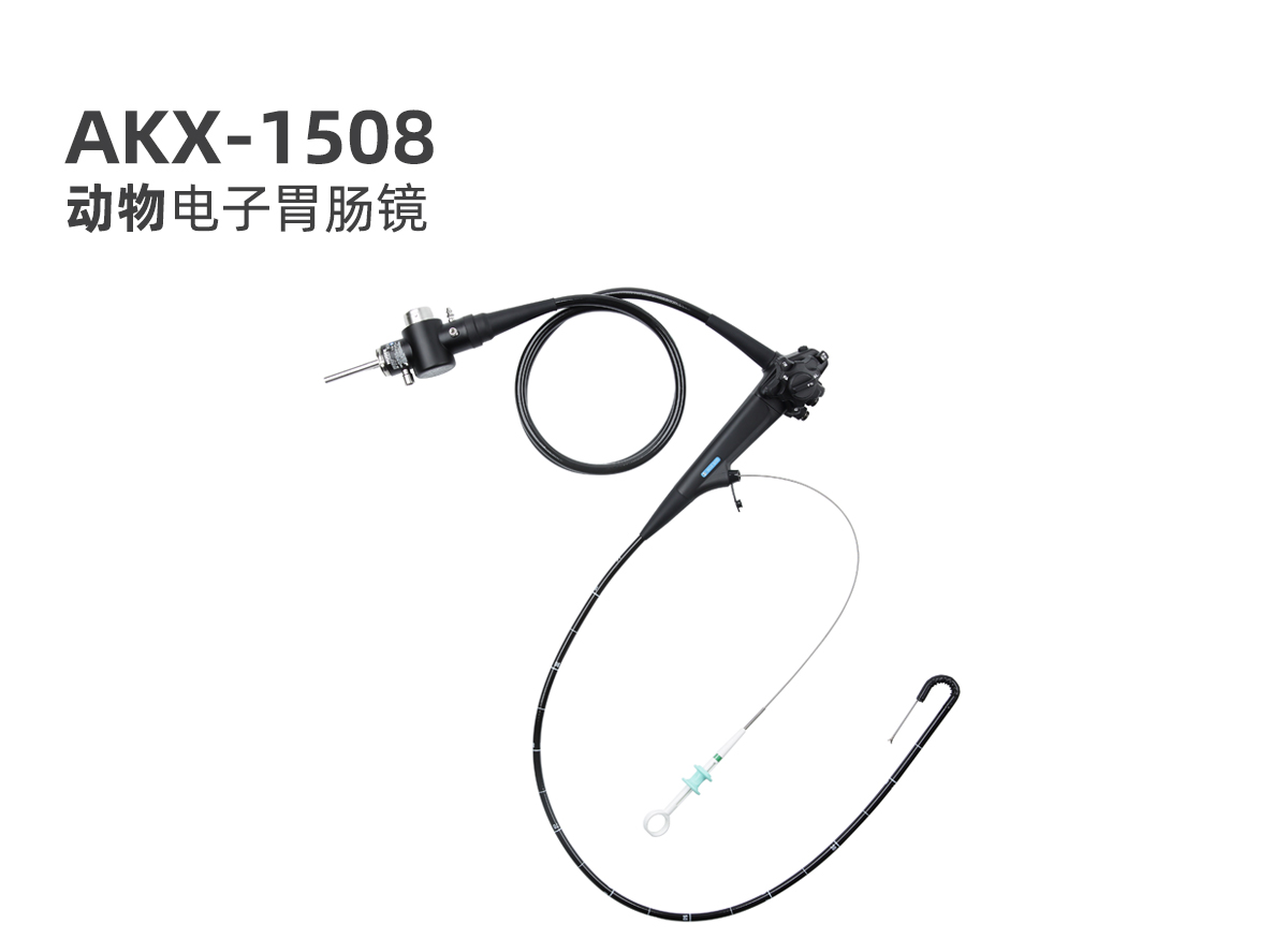 新產(chǎn)品：動(dòng)物電子胃腸鏡 AKX-1508